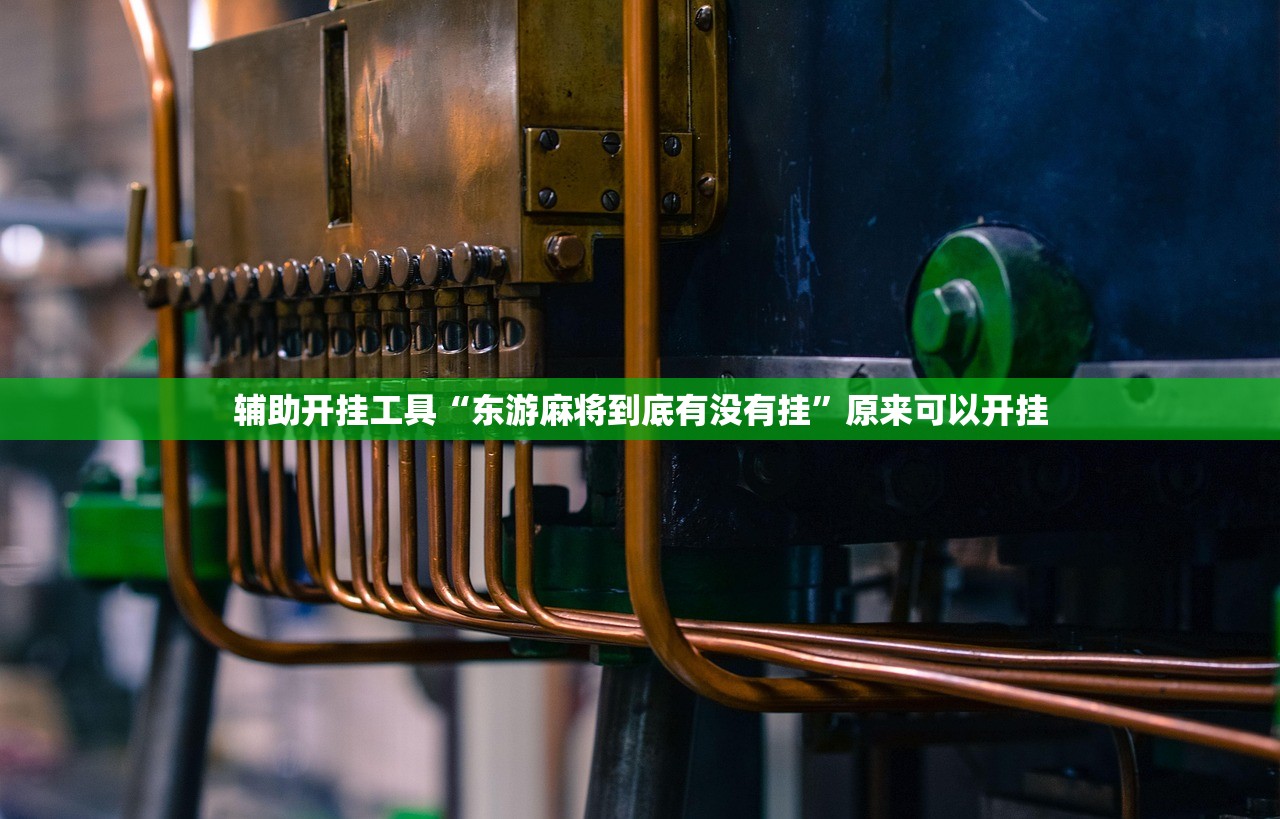 辅助开挂工具“东游麻将到底有没有挂”原来可以开挂