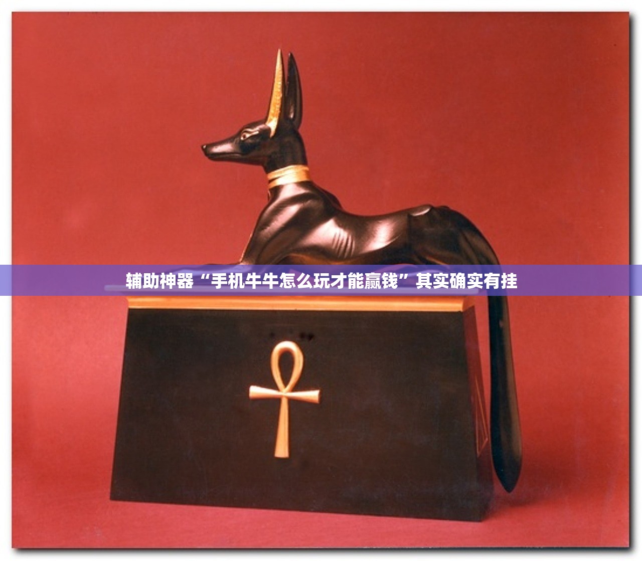 教程辅助!“上品十三水怎么拿好牌”其实确实有挂