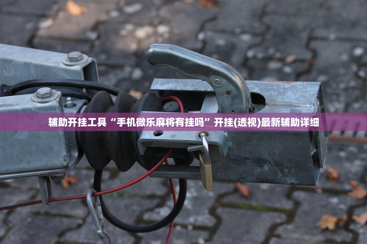 辅助开挂工具“手机微乐麻将有挂吗”开挂(透视)最新辅助详细