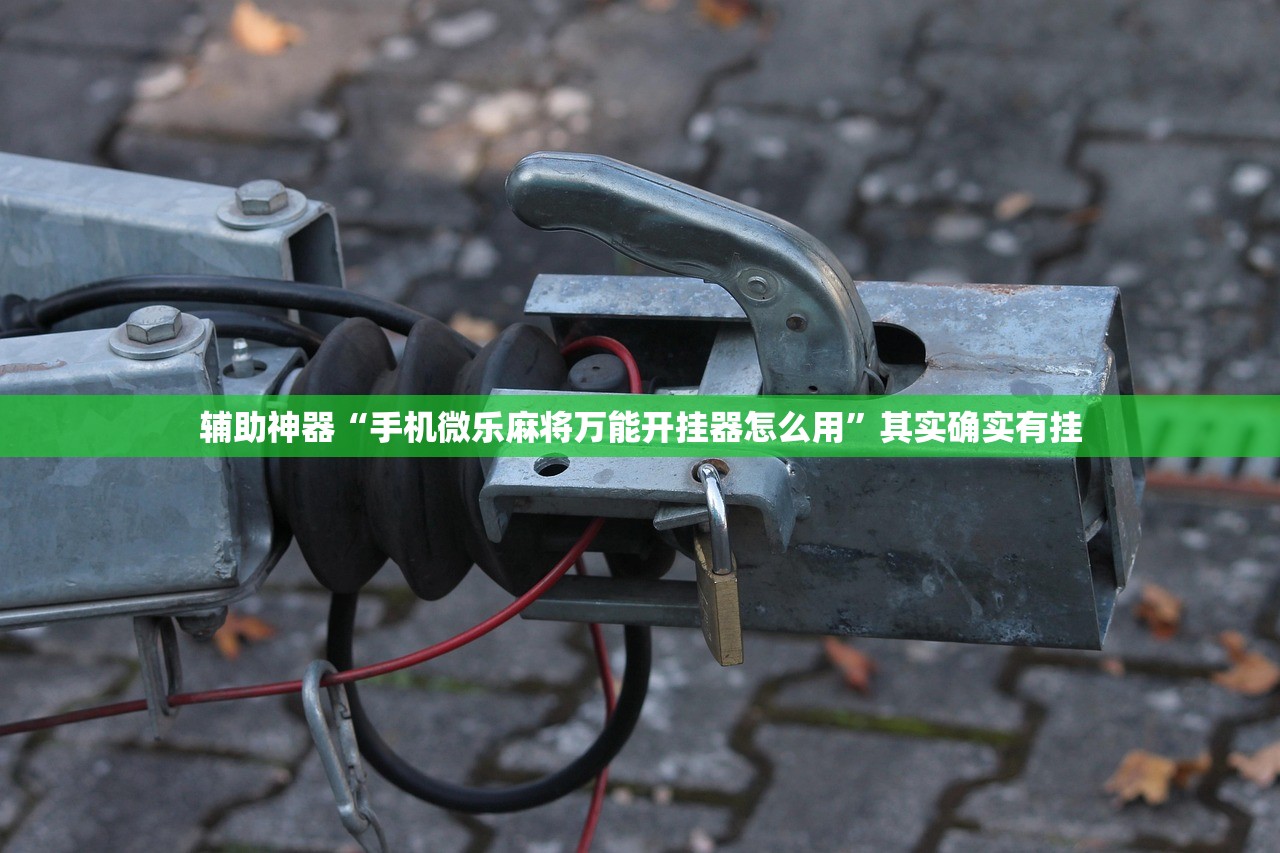 辅助神器“手机微乐麻将万能开挂器怎么用”其实确实有挂