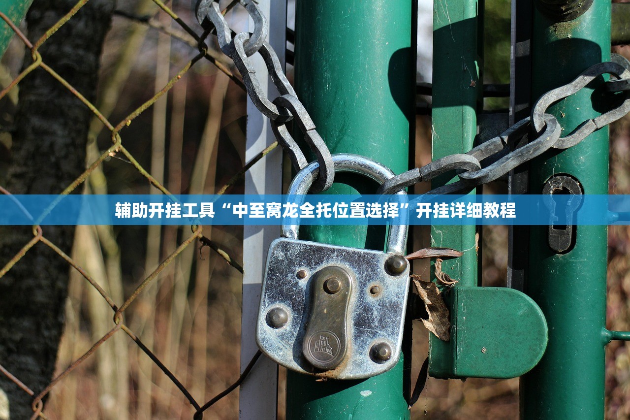 辅助神器“掌酷十三张外卦辅助软件下载”开挂辅助脚本+详细开挂安装教程