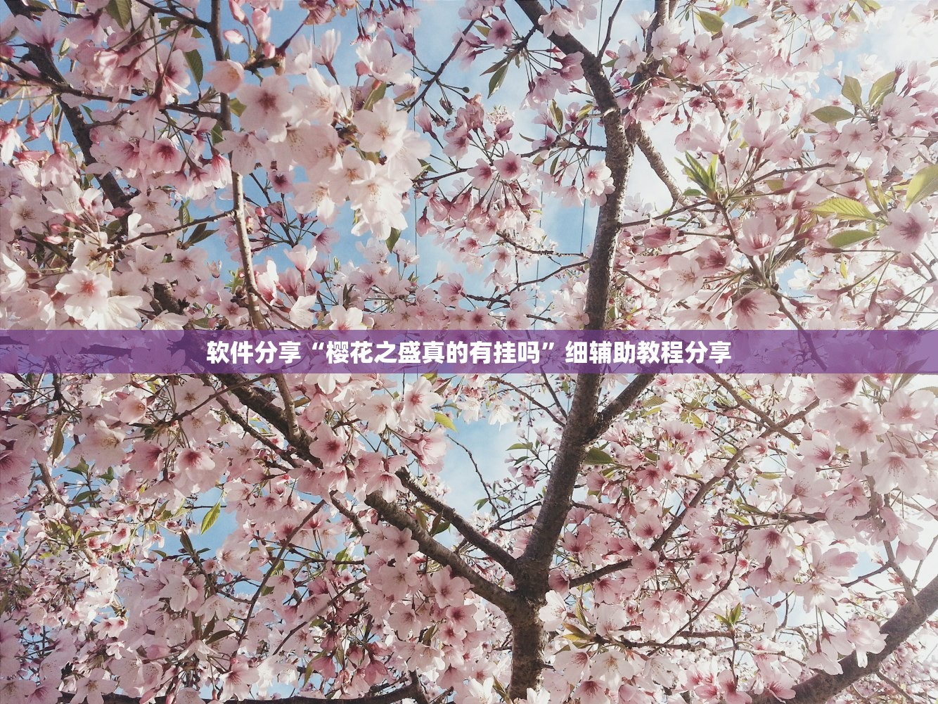 必备科技“手机微乐掼蛋开挂辅助器通用版”其实确实有挂