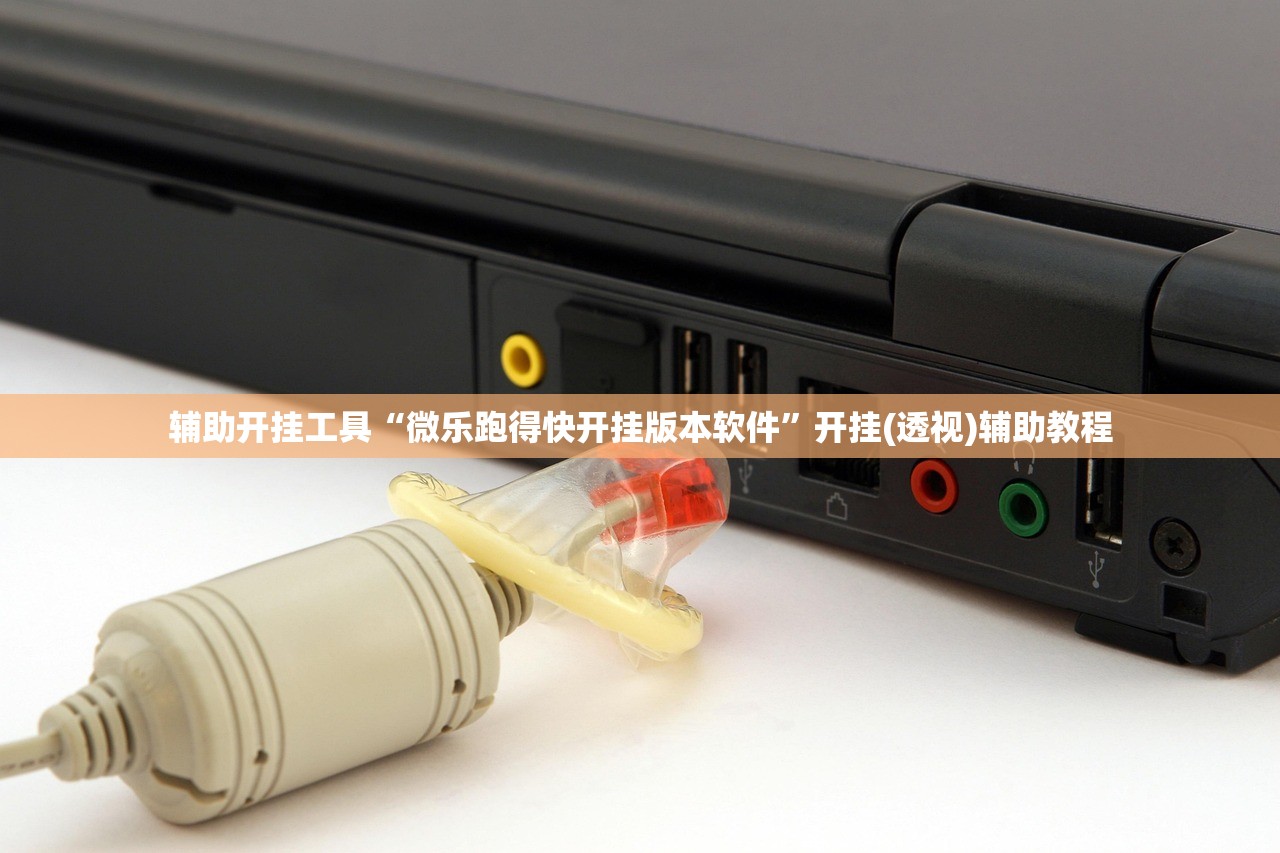 辅助开挂工具“微乐跑得快开挂版本软件”开挂(透视)辅助教程