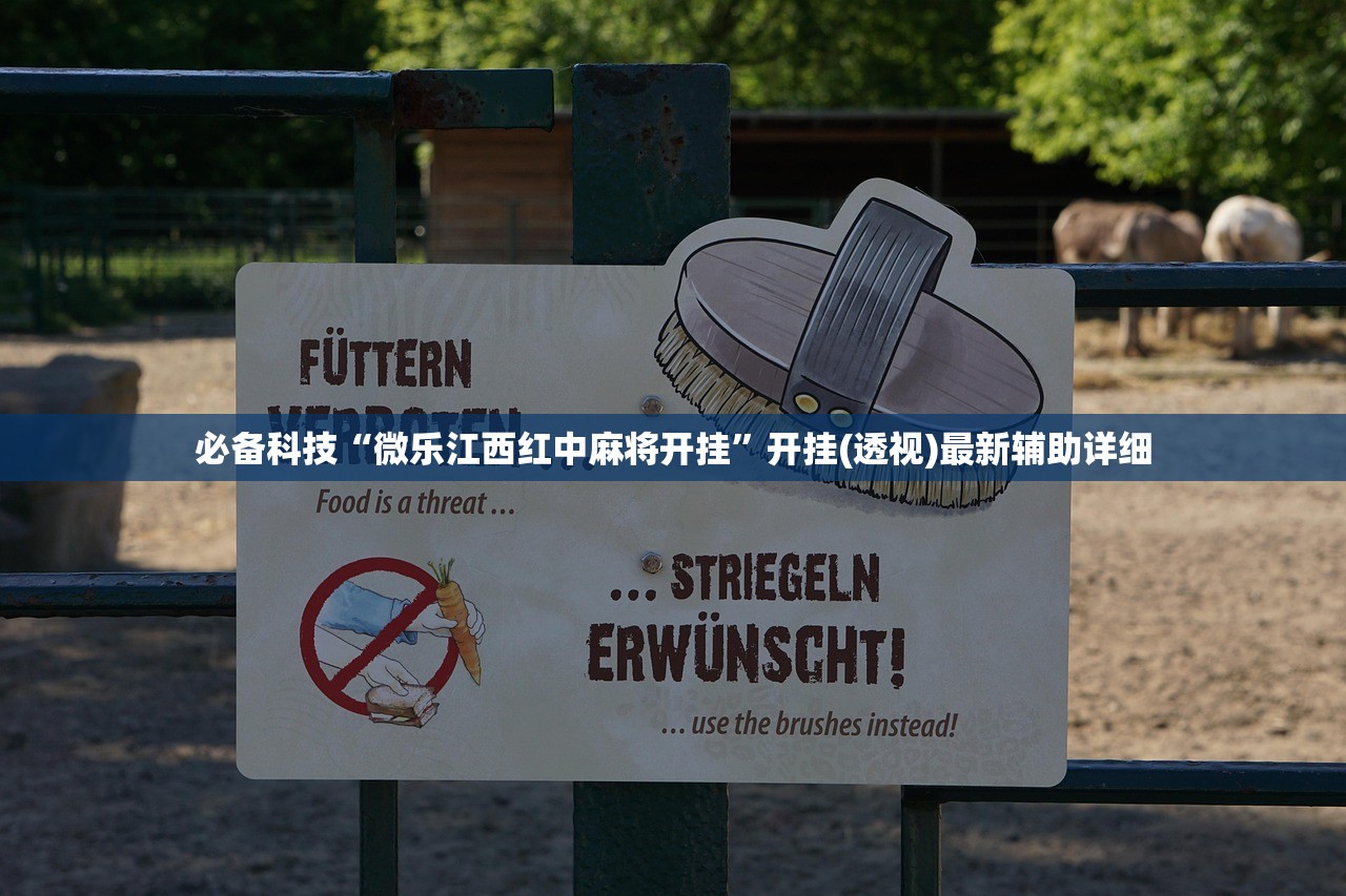 辅助开挂工具“大头十三水有挂吗”科技辅助神器手机版