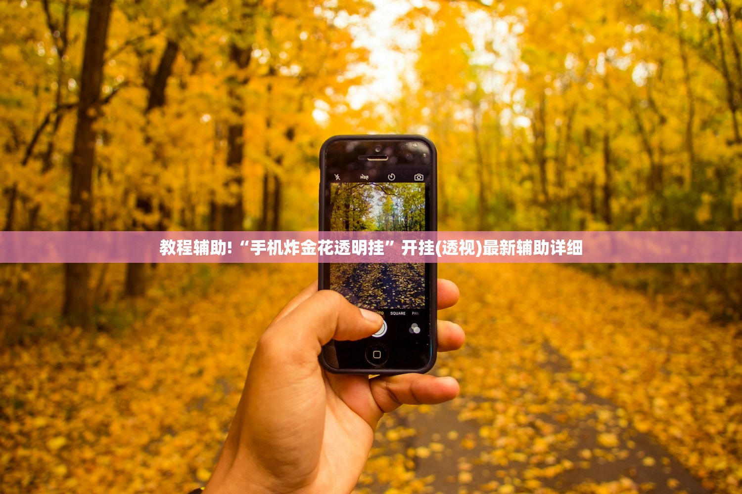 上海全域静态管理全员核酸筛查/上海 全员核酸
