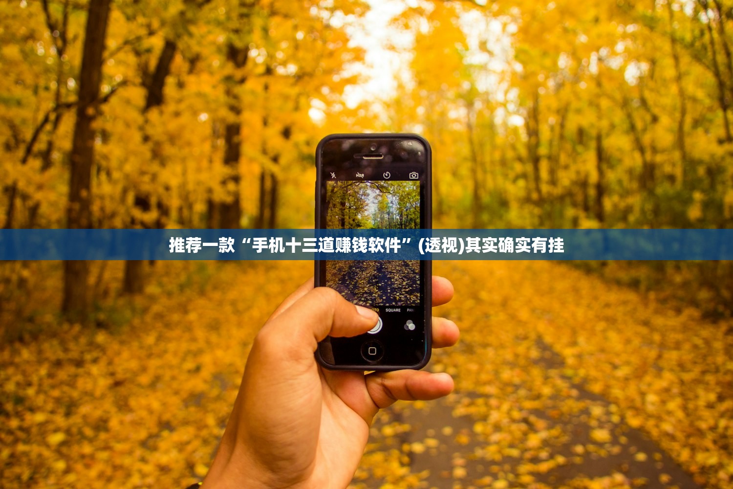 软件分享“东阳四副牌开挂辅助器通用版”(透视)其实确实有挂