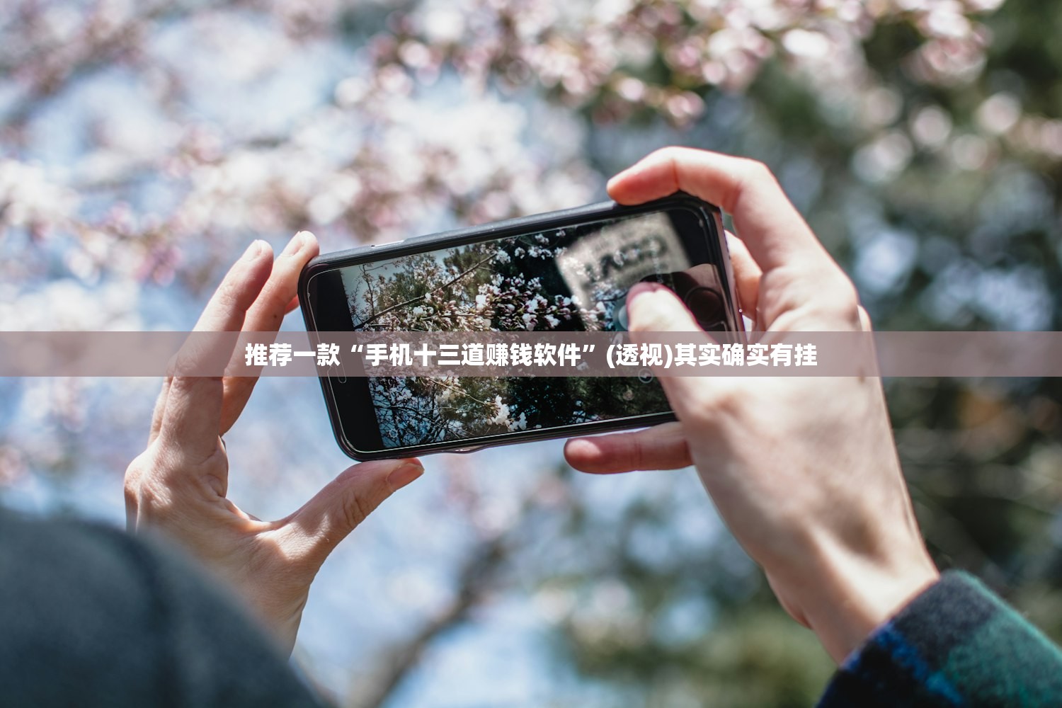 推荐一款“手机十三道赚钱软件”(透视)其实确实有挂