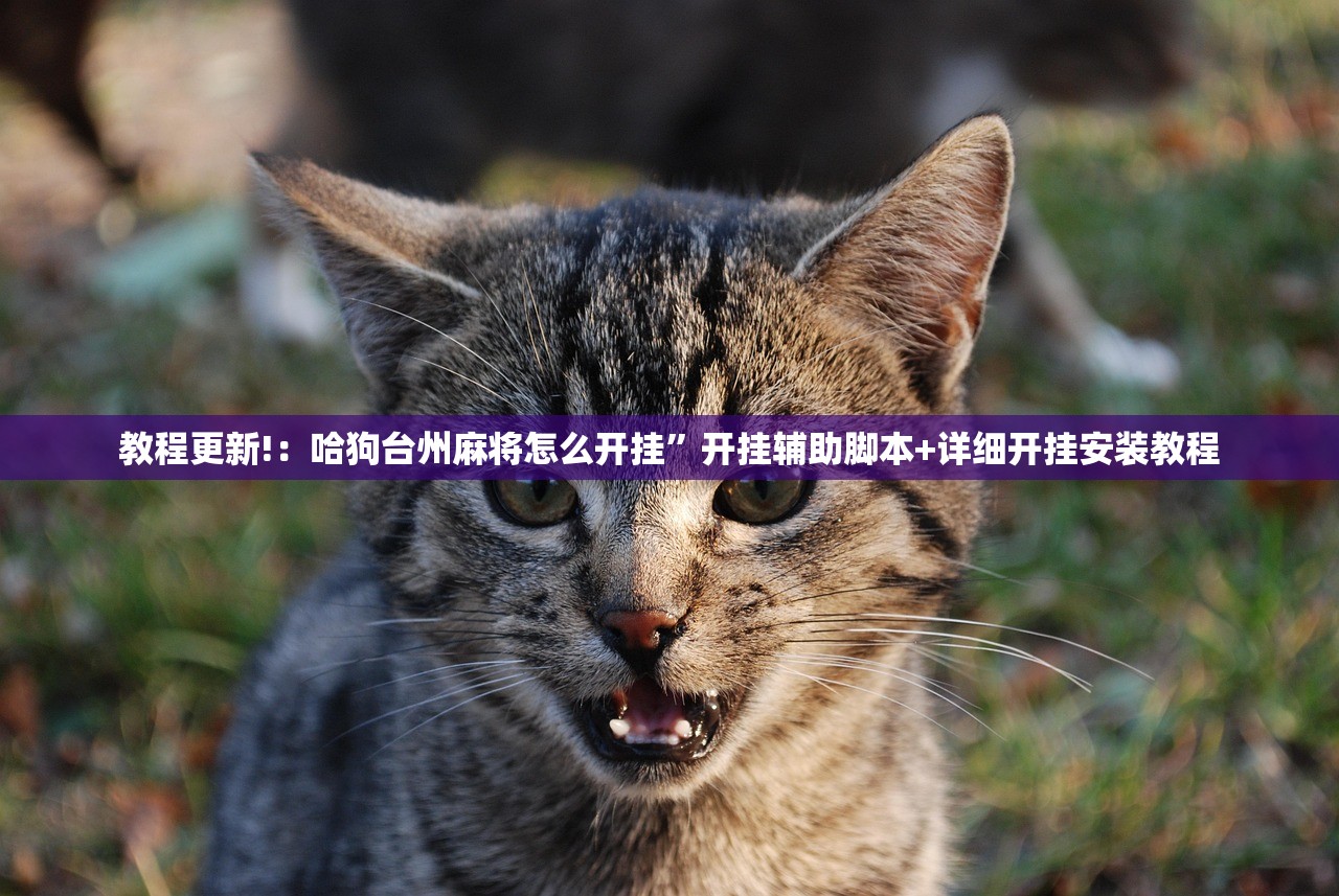 实测神器辅助“新漫游是不是有挂”其实确实有挂