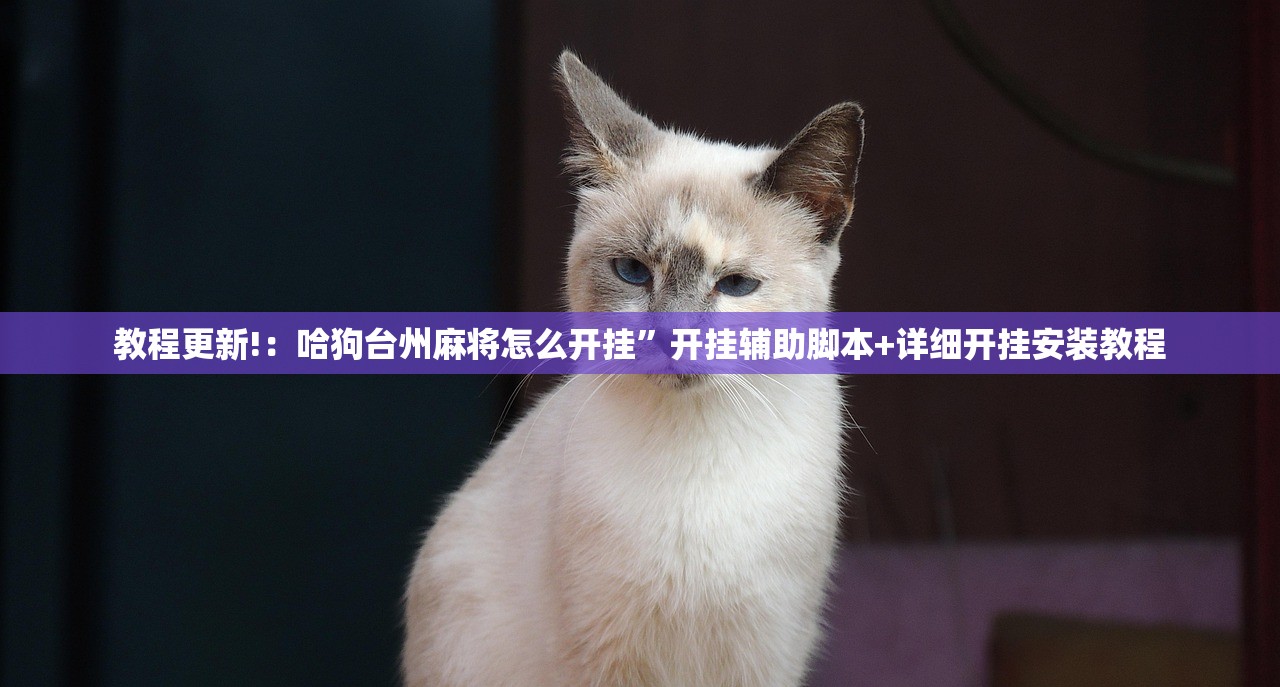 教程更新!：哈狗台州麻将怎么开挂”开挂辅助脚本+详细开挂安装教程
