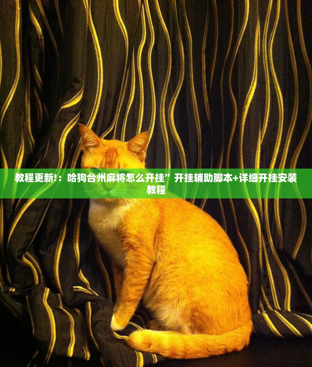 教程更新!：哈狗台州麻将怎么开挂	”开挂辅助脚本+详细开挂安装教程