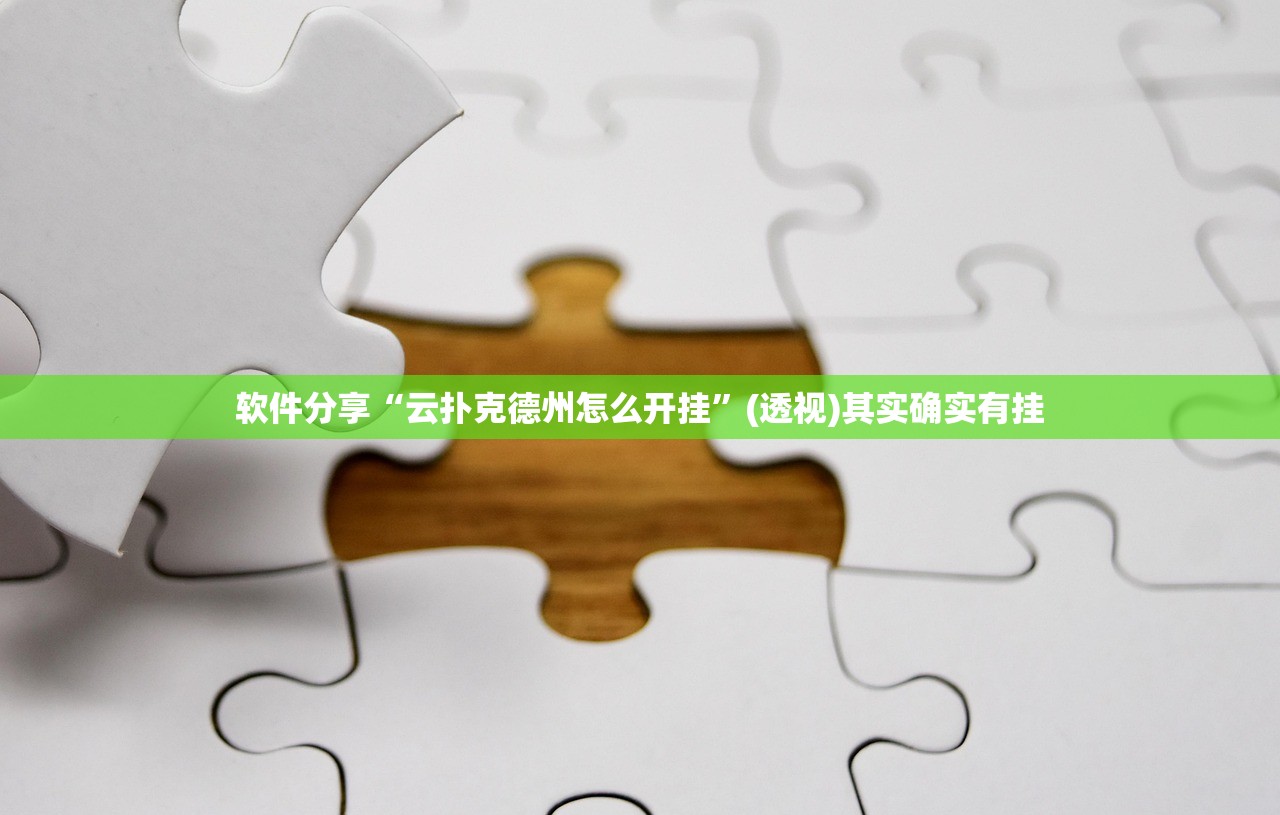 软件分享“云扑克德州怎么开挂	”(透视)其实确实有挂