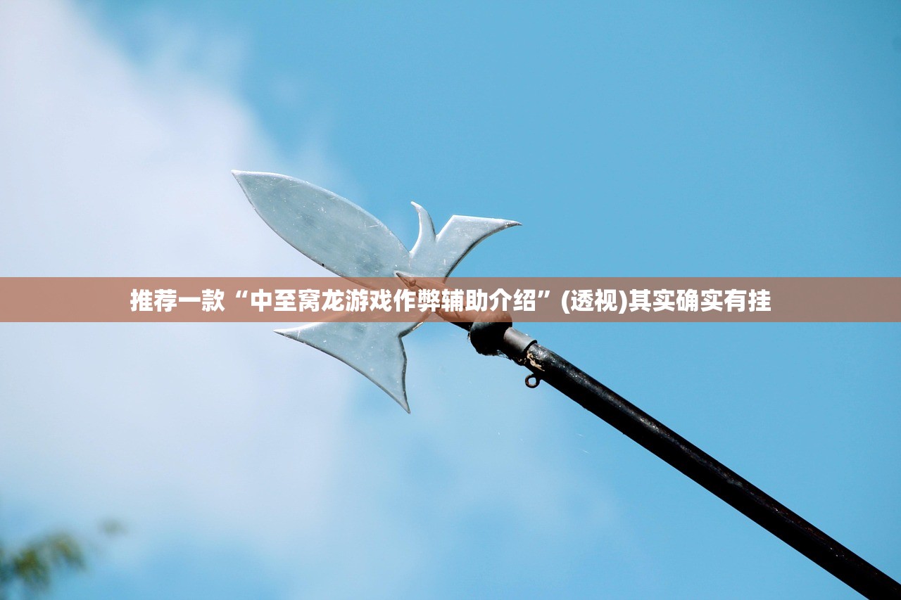 推荐一款“中至窝龙游戏作弊辅助介绍”(透视)其实确实有挂