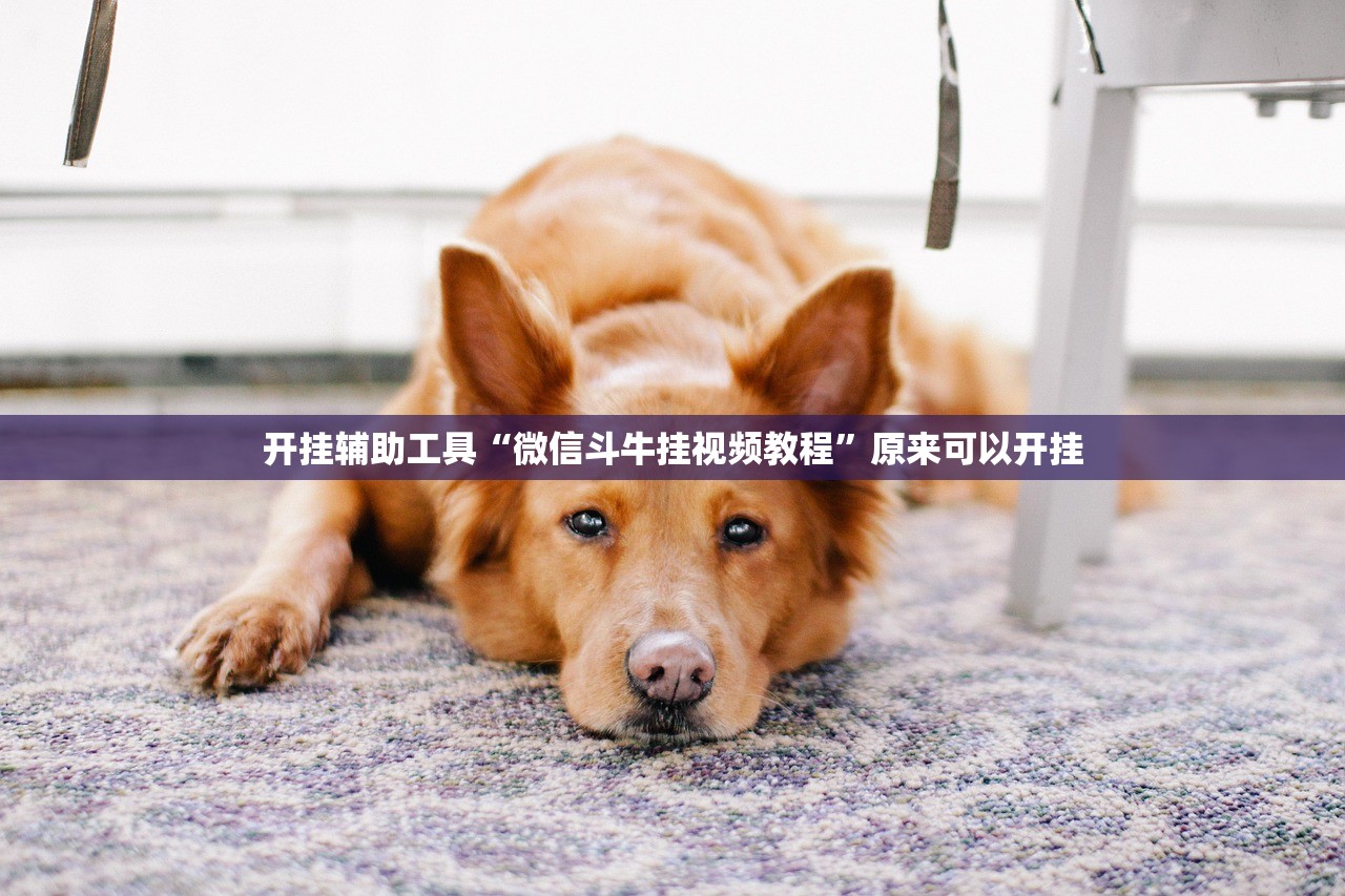 开挂辅助工具“微信斗牛挂视频教程	”原来可以开挂