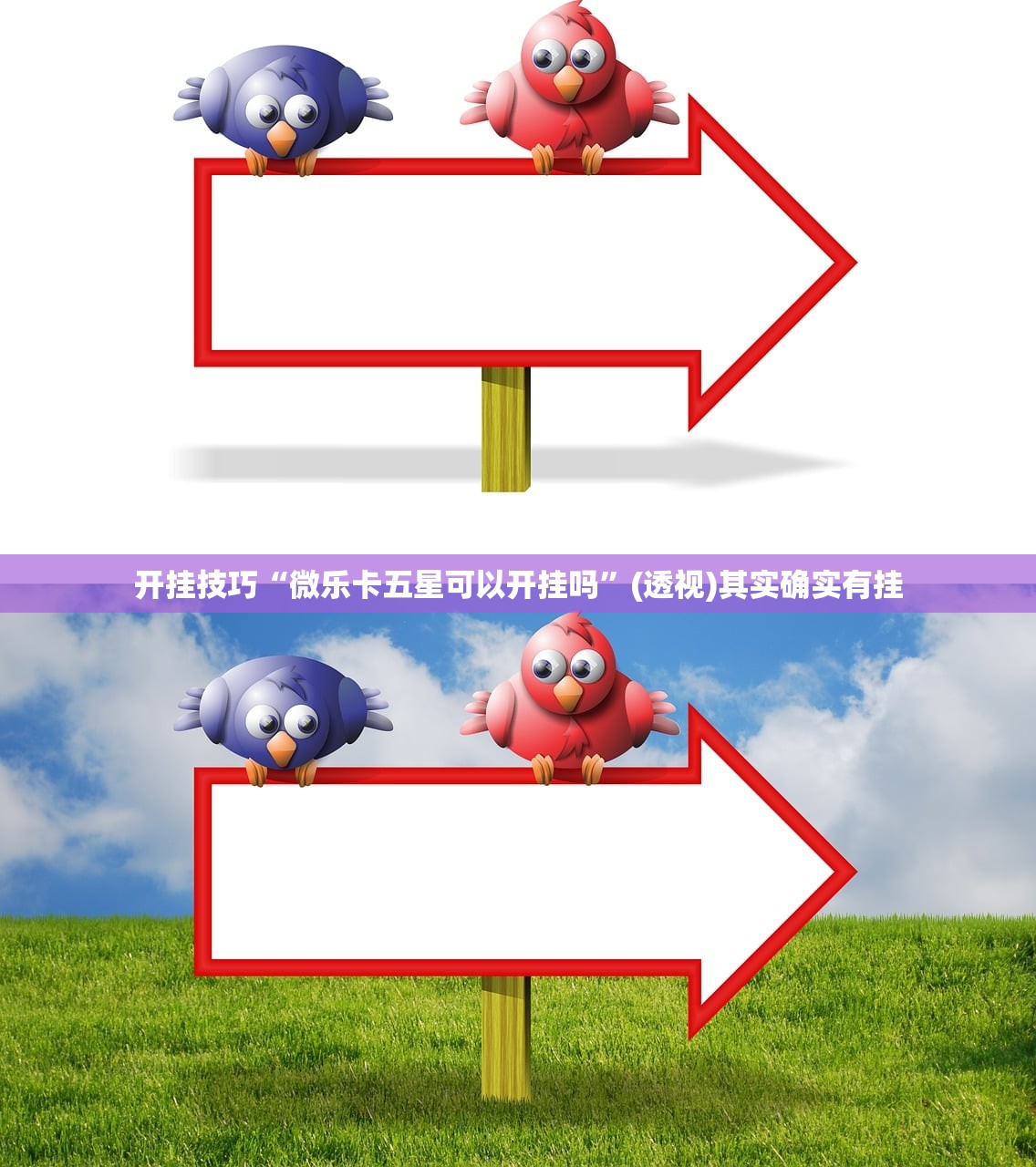 【中国大学有哪些专业,中国大学有哪些专业从文科变理科】
