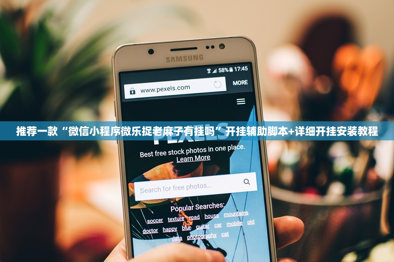 推荐一款“微信小程序微乐捉老麻子有挂吗”开挂辅助脚本+详细开挂安装教程