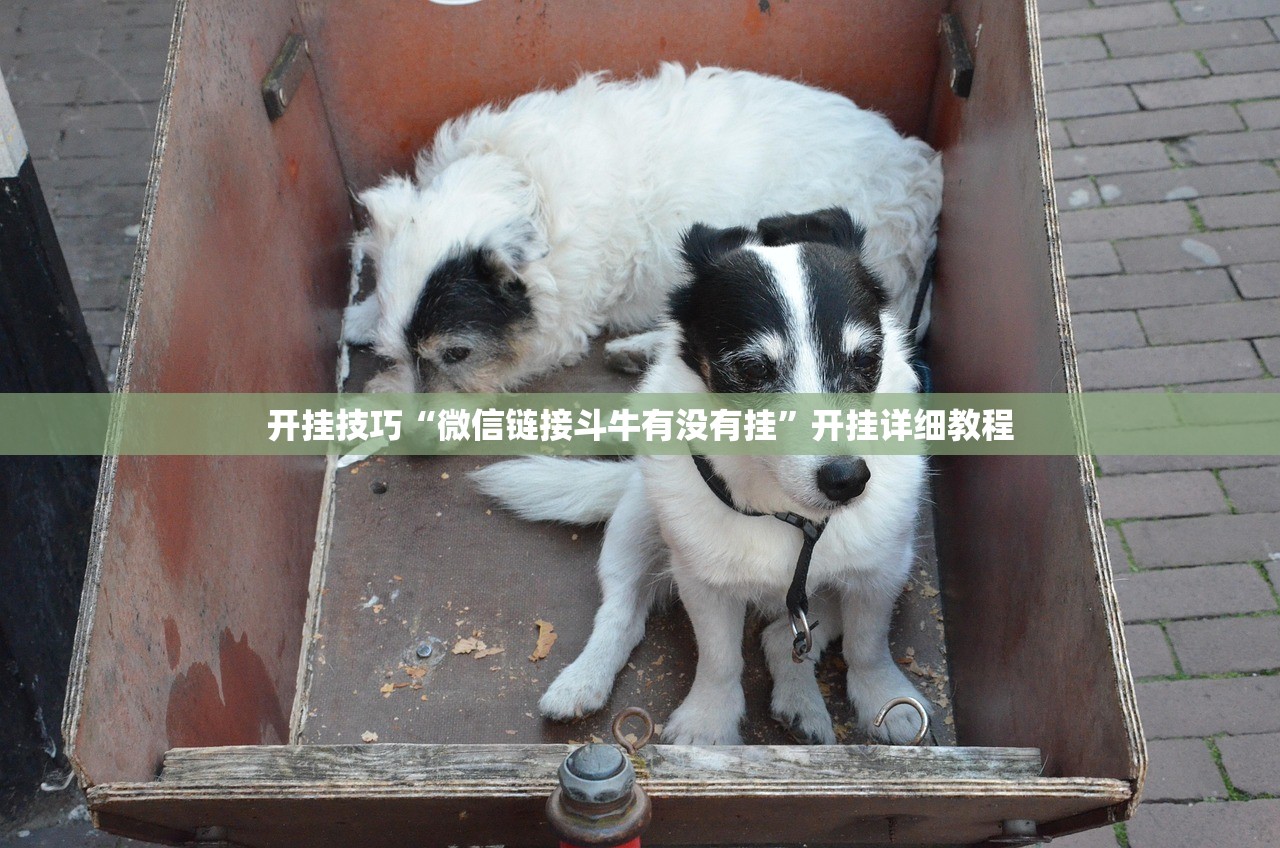 万能开挂辅助“越乡游义乌麻将开挂辅助器通用版”详细外挂透视辅助软件教程