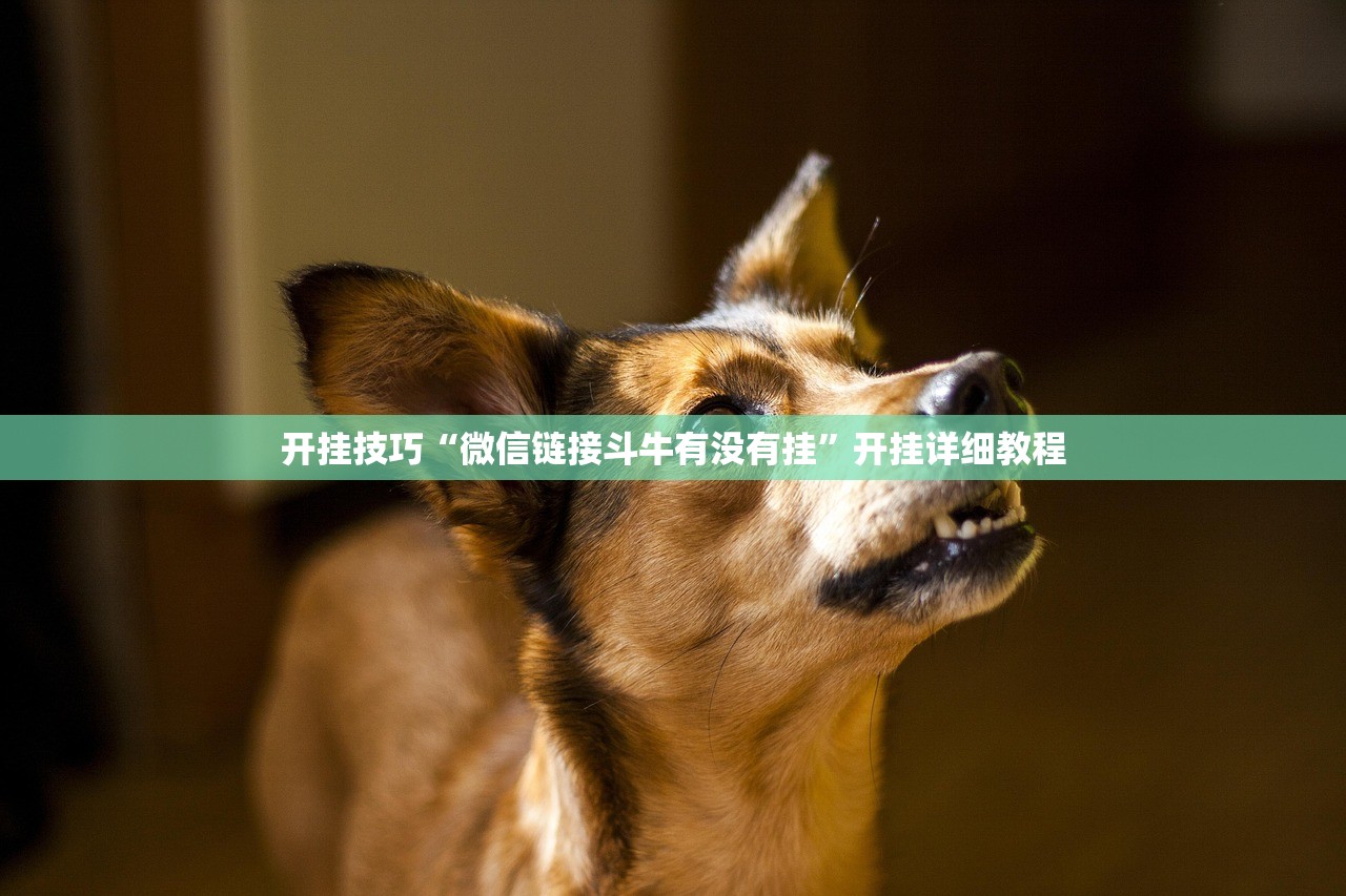 开挂技巧“微信链接斗牛有没有挂	”开挂详细教程