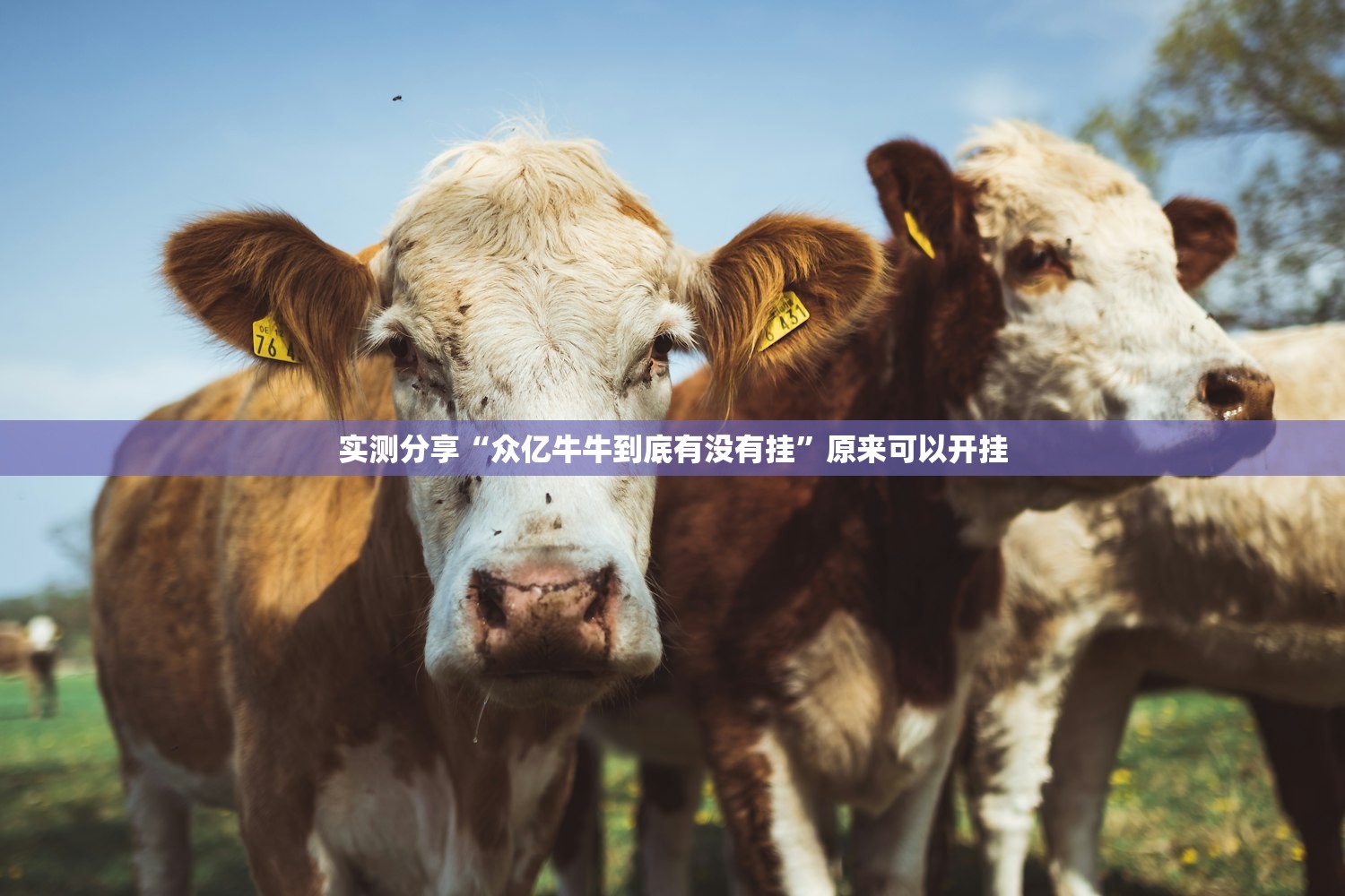 支行从做业务到做管理（支行行长如何开展业务）