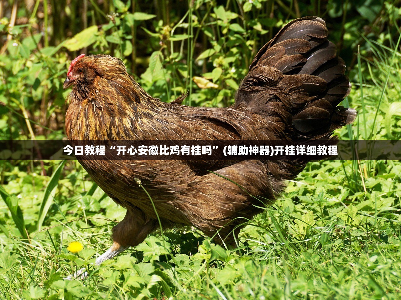 【广东新增本土无症状感染者1例/广东新增本土无症状1例!】
