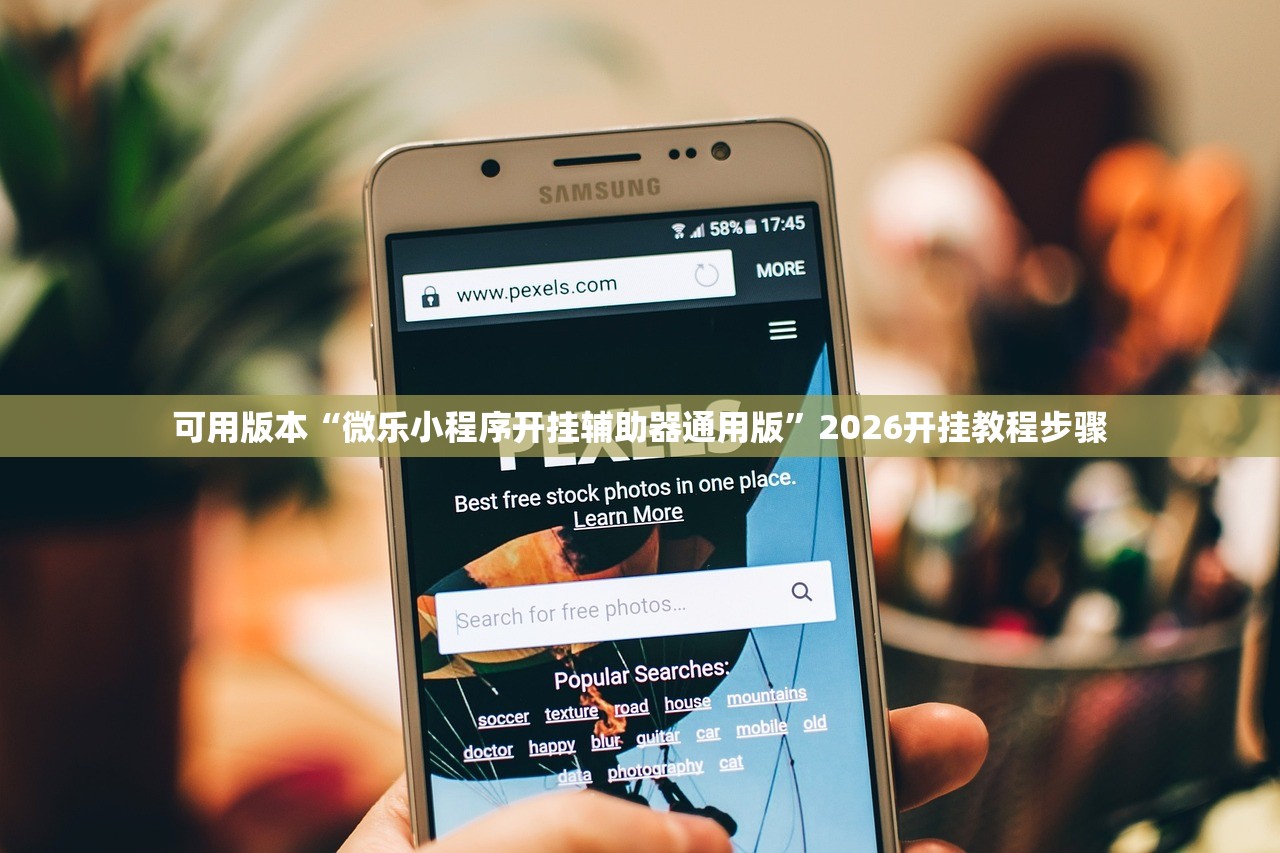 可用版本“微乐小程序开挂辅助器通用版”2026开挂教程步骤