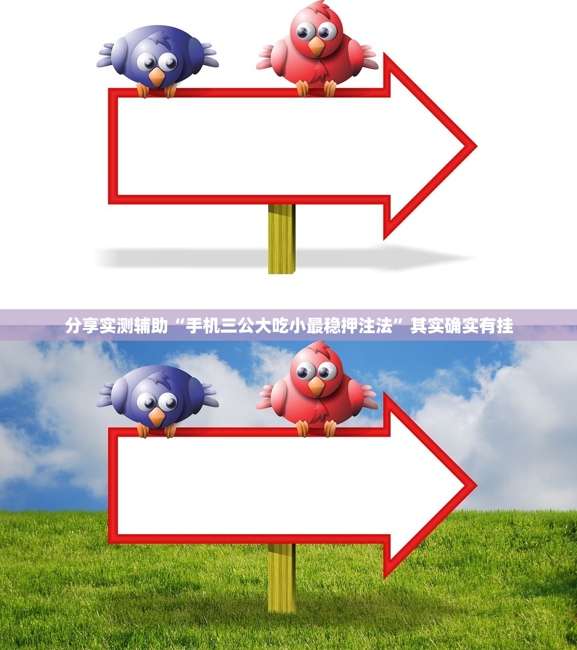 分享实测辅助“手机三公大吃小最稳押注法”其实确实有挂