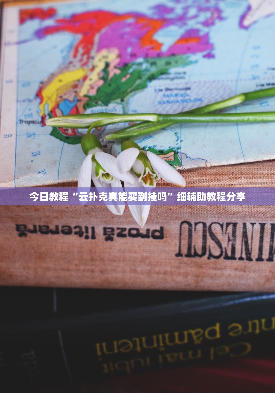 今日教程“云扑克真能买到挂吗”细辅助教程分享