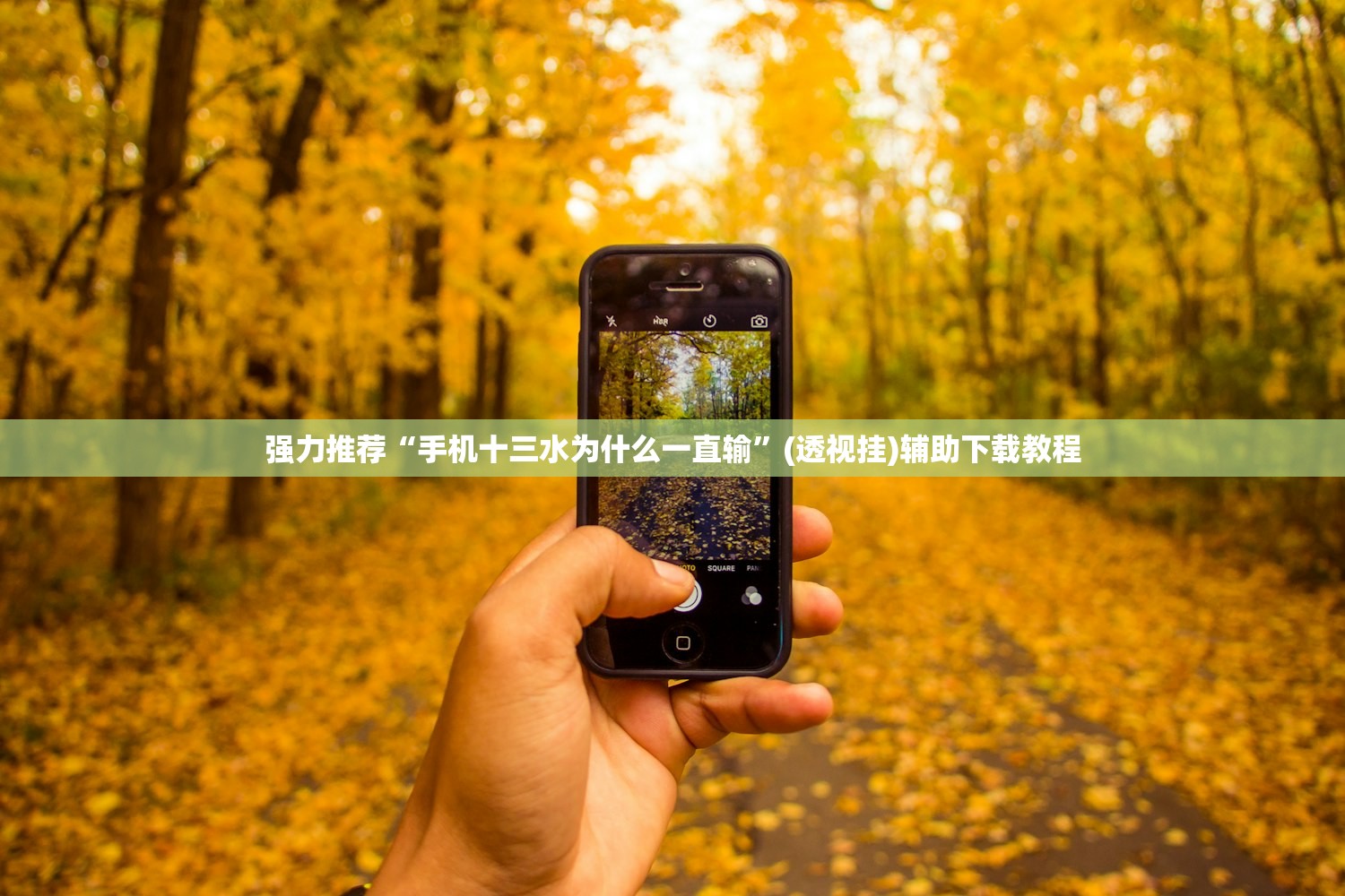【武汉新增7例无症状感染者/武汉新增7例无症状感染者行动轨迹】