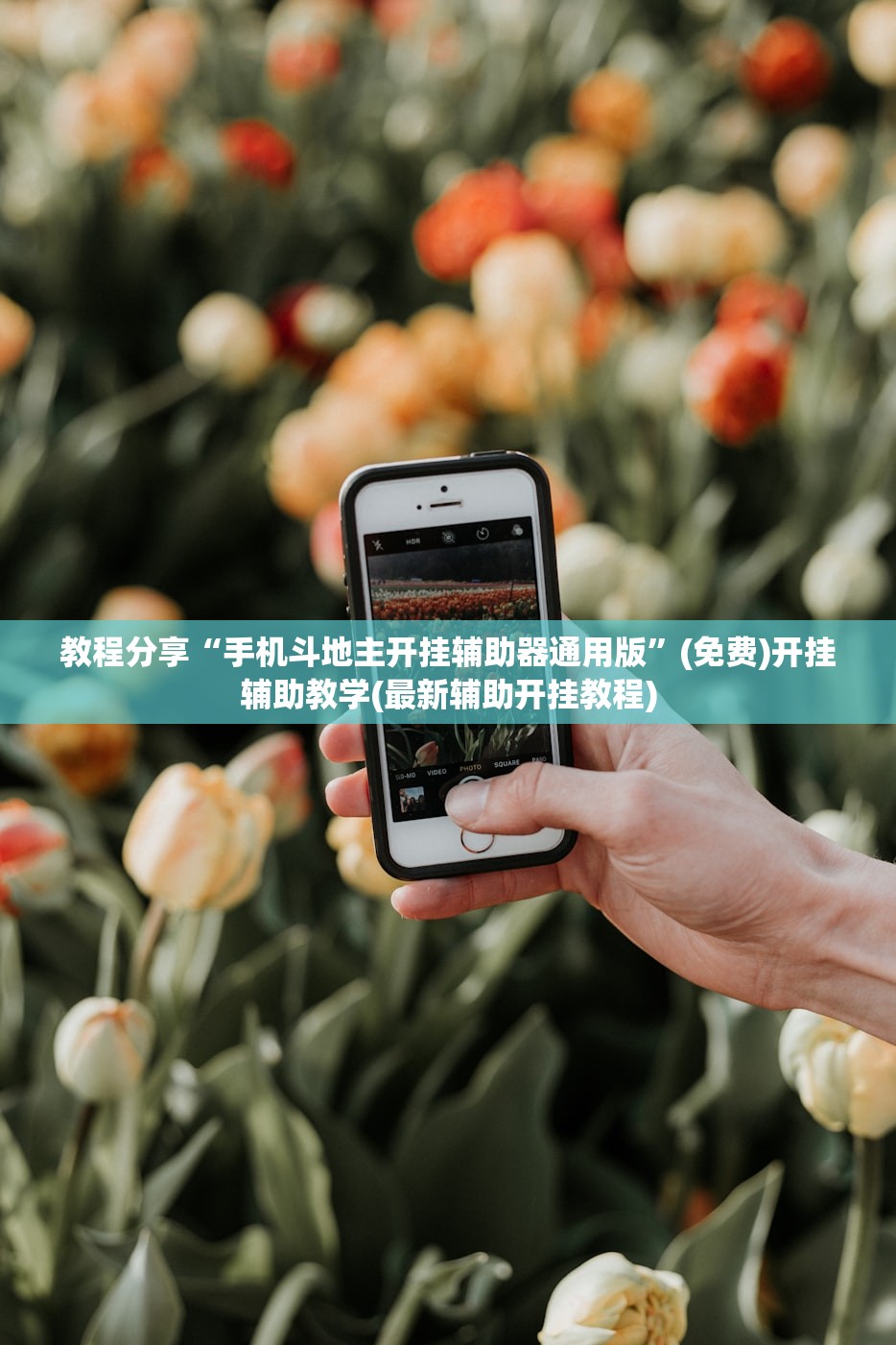 【东北疫情最新消息/东北疫情最新消息2020年12月】